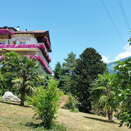 Pension Weinberg 里菲亚诺 外观 照片