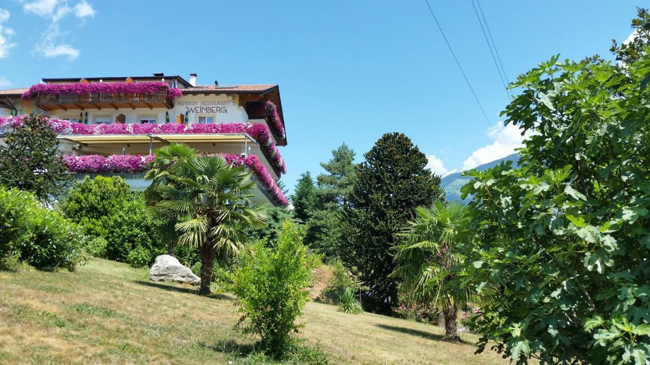 Pension Weinberg 里菲亚诺 外观 照片